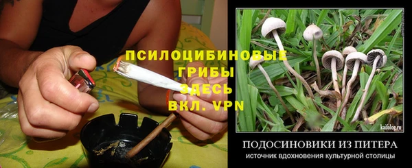 гашик Абинск