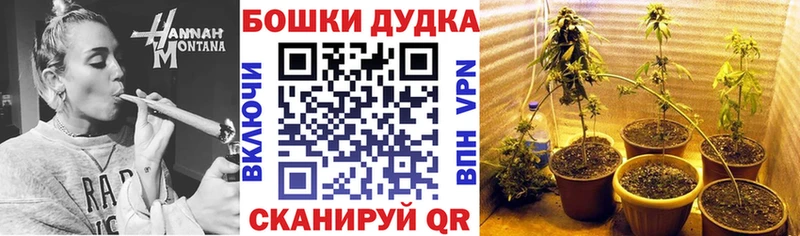ссылка на мегу ССЫЛКА  Исилькуль  МАРИХУАНА SATIVA & INDICA 